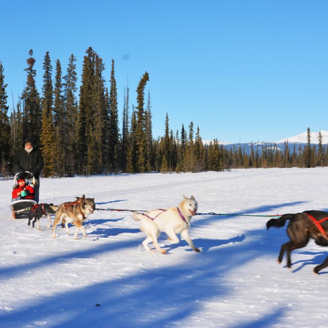 Arctic Day: Taste the snow | Multi-activity tour (Feb 19, 2014)