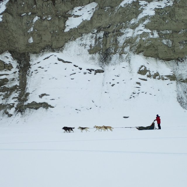 Arctic Day: Taste the snow | Multi-activity tour (Mar 7, 2015)