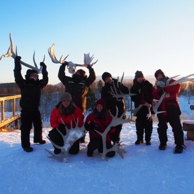 Arctic Day: Wildlife & Hot Springs | half day (Jan 8, 2017)