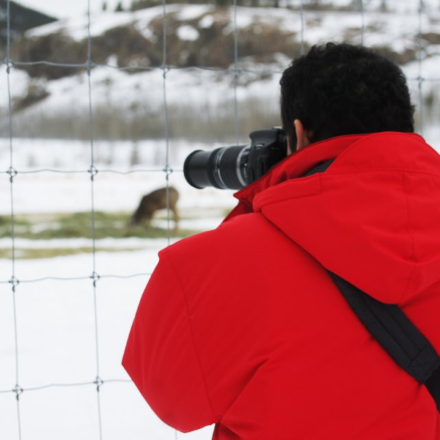 Arctic Day: Wildlife Preserve | half day (Feb 17, 2013)