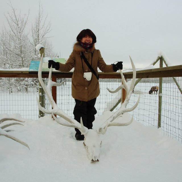 Arctic Day: Wildlife & Hot Springs | half day (Dec 29, 2013)