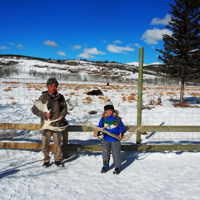 Arctic Day: Wildlife & Hot Springs | half day (Mar 26, 2017)