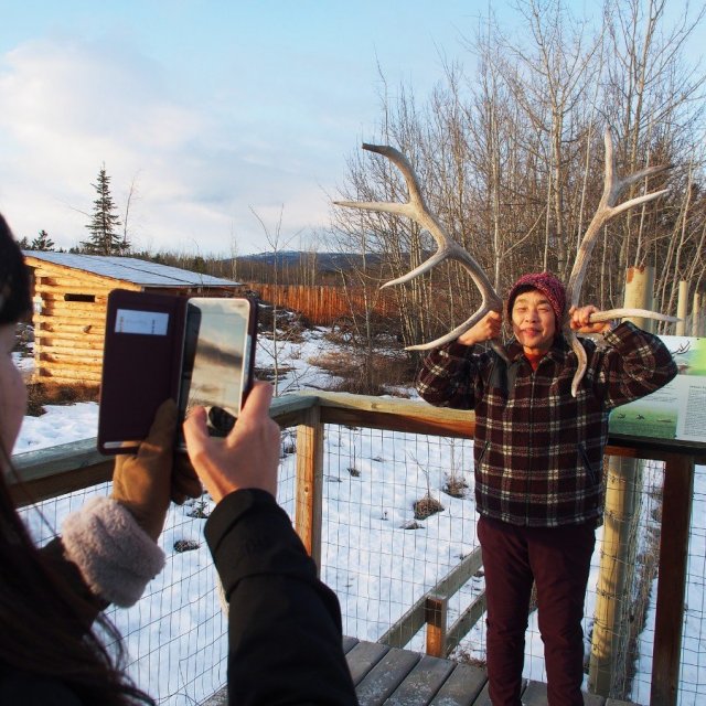 Arctic Day: Wildlife & Hot Springs | half day (Nov 24, 2019)