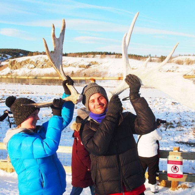 Arctic Day: Wildlife & Hot Springs | half day (Dec 28, 2019)