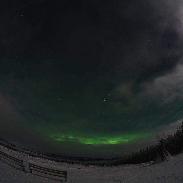 Arctic Day: Aurora Borealis Viewing | evening (Dec 9, 2014)