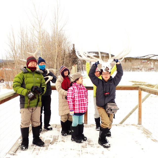 Arctic Day: Wildlife & Hot Springs | half day (Feb 16, 2015)