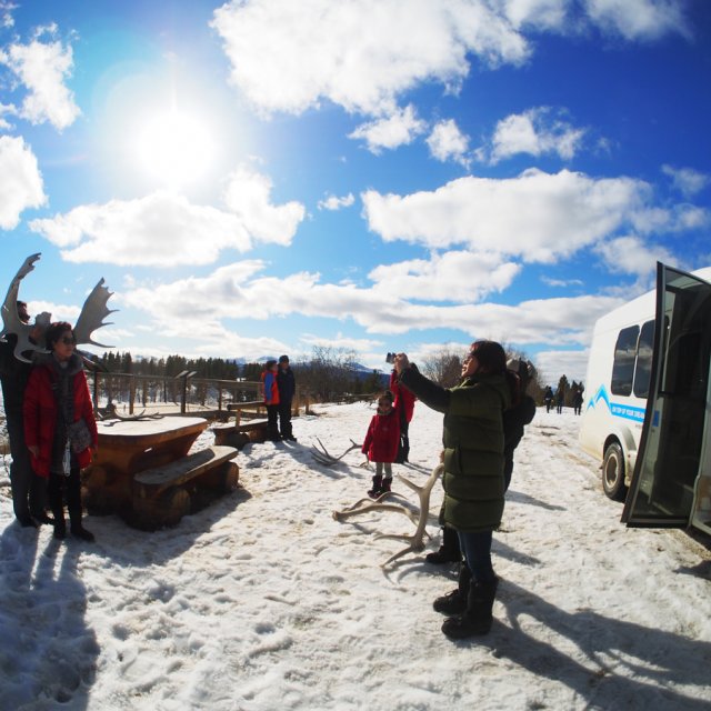 Arctic Day: Wildlife & Hot Springs | half day (Mar 27, 2016)