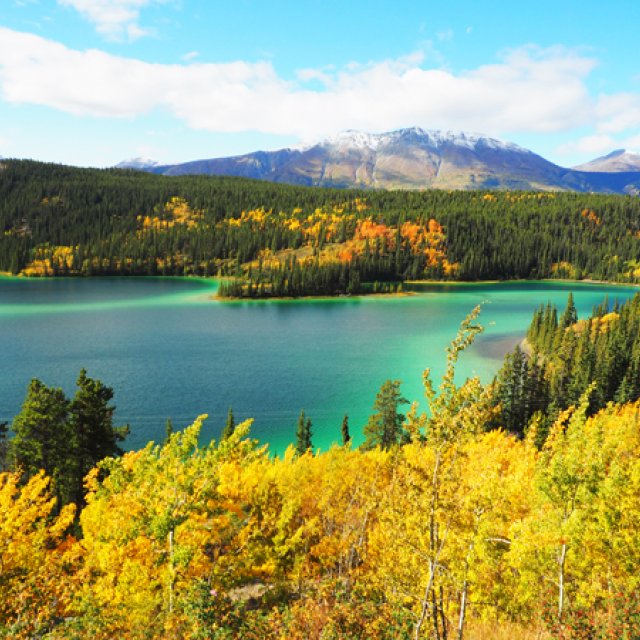 Arctic Day: White Pass Train & Skagway | full day (Sep 12, 2017)