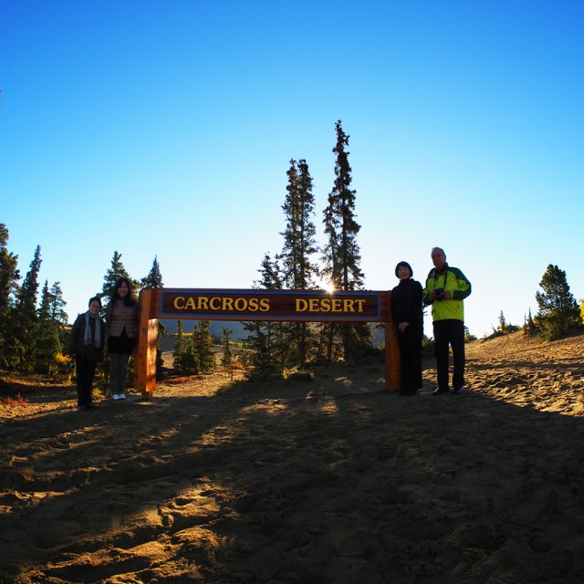 Arctic Day: White Pass Train & Skagway | full day (September 12, 2014)