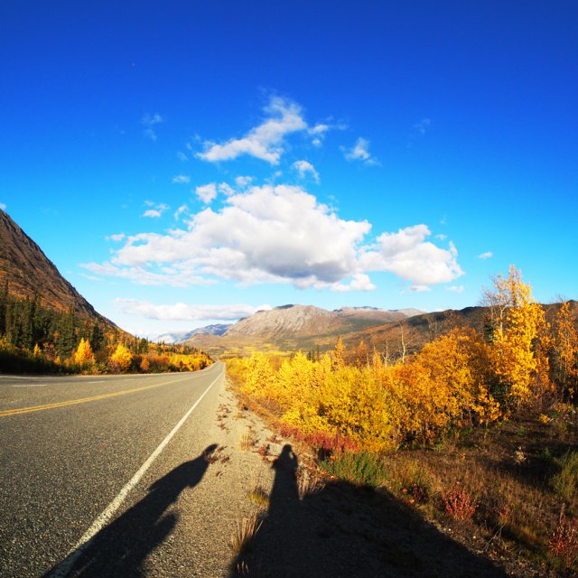 Arctic Day: White Pass Train & Skagway | full day (September 23, 2014)