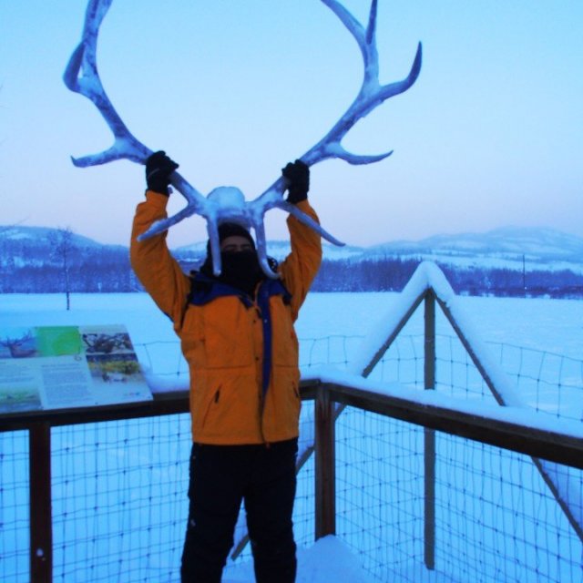 Arctic Day: Yukon Wildlife Viewing Tour | half day (Jan 3, 2022)