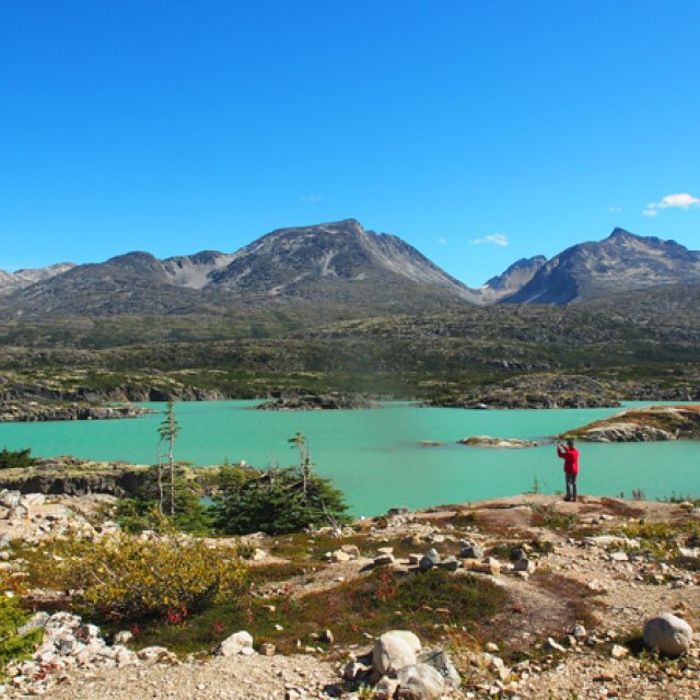 Arctic Day: White Pass Train & Skagway | full day (Aug 21, 2016)