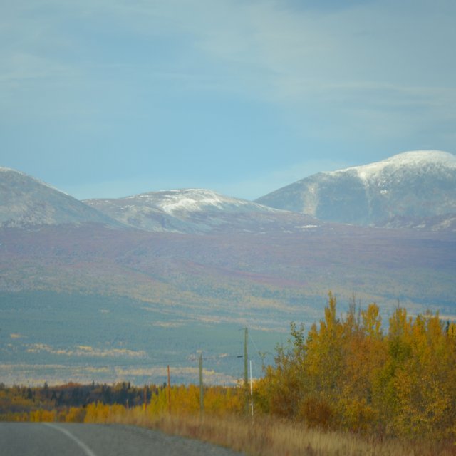 Arctic Day: Kluane National Park Tour | full day (Sept 18, 2012)