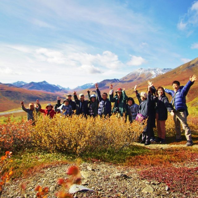 Arctic Tundra & Dawson City | naturally wild (Aug 30, 2018)