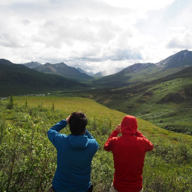 Arctic Tundra & Dawson City | naturally wild (July 10, 2018)