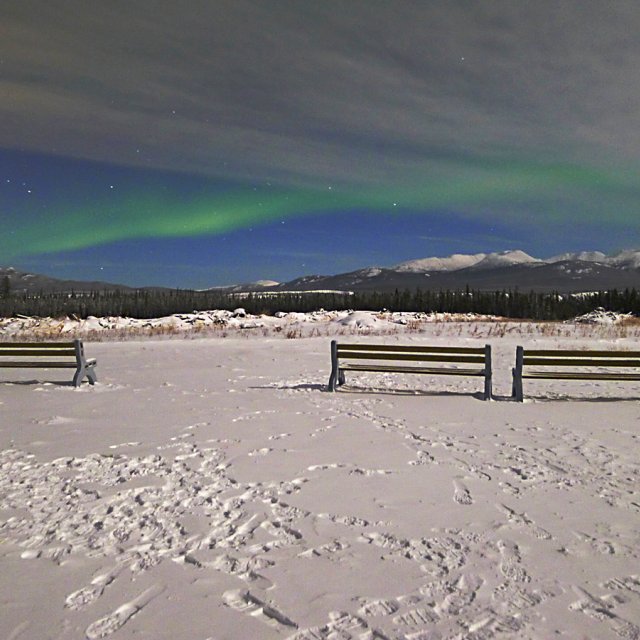 Arctic Day: Aurora Viewing | evening (Dec 01, 2012)