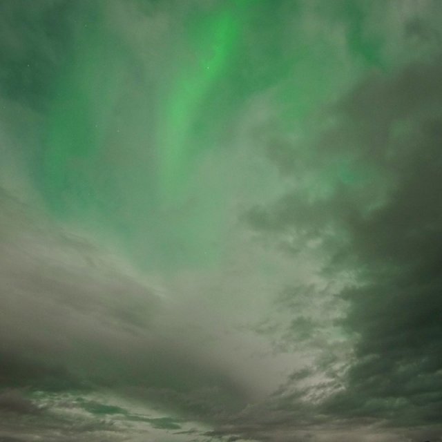 Arctic Day: Aurora Borealis Viewing | evening (Sep 21, 2021)