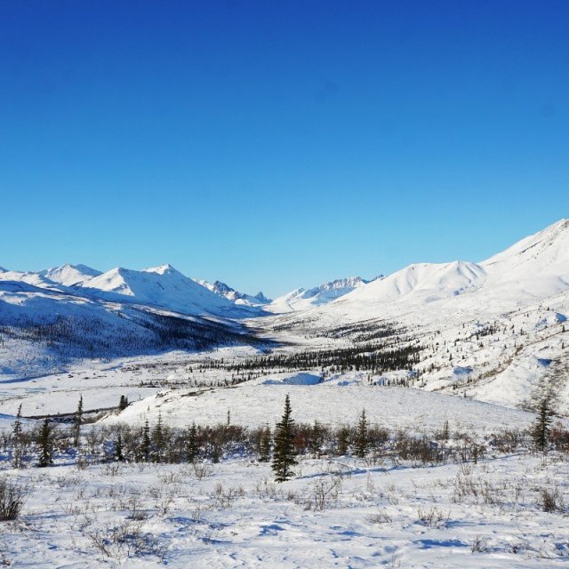 Arctic Winter Explorer | Ice Road to the Arctic Sea (Mar 8, 2019)