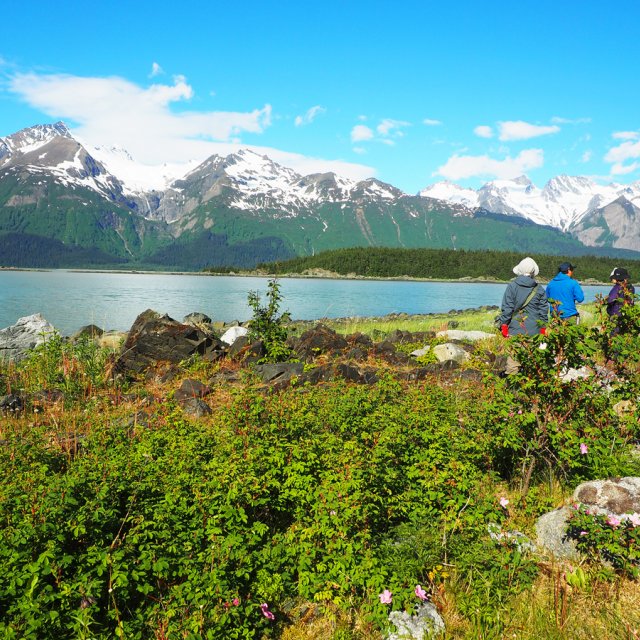 Golden Aurora Circle | Yukon & Alaska Summits (Jun 6, 2017)