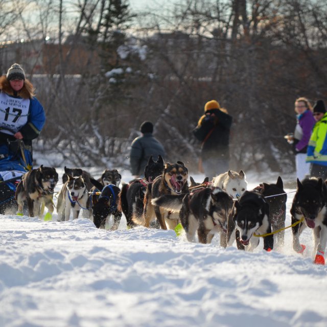 30 Years Yukon Quest  | Follow the toughest race (Feb 2, 2013)