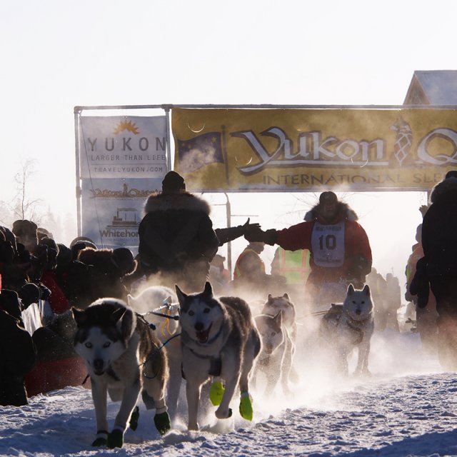 Yukon Quest Dog sledding | Follow the toughest race (Feb 6, 2015)